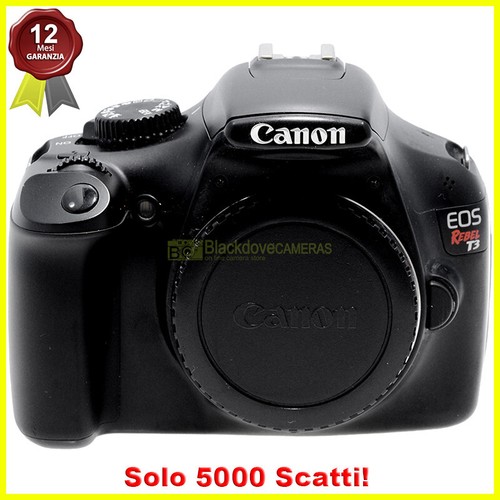 Canon rebel - canon, (eos